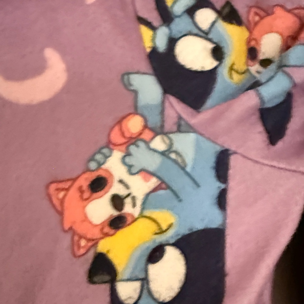Bundle of Cozy Girls Nightgowns - Bluey and Frozen Anna and Elsa! Today only! - Picture 5 of 15